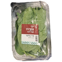 עלי תרד גוליבר יוכי יחידה