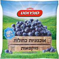 אוכמניות כחולות מוקפאות סנפרוסט 300 גרם