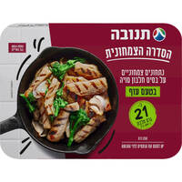 נתחוני סויה בטעם עוף תנובה 350 גרם