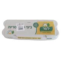 ביצים גודל בינוני מ. לסר 12 יחידות