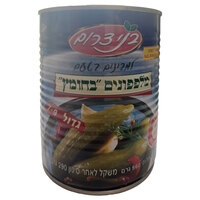 מלפפונים חמוצים בחומץ גדול בני דרום 7-9 560 גרם