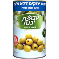 זיתים ירוקים מנזנילו ללא גרעין קבוצת יבנה 1.25 קילו