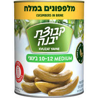 מלפפונים במלח בינוני 10-12 יבנה 560 גרם