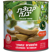 מלפפונים בחומץ גדול 30 - 36 קבוצת יבנה 3 קילו