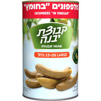 מלפפונים בחומץ 20-15 גדול קבוצת יבנה 1.3 קילו