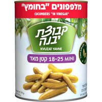 מלפפונים קטנים מאוד בחומץ 18-25 קבוצת יבנה 560 גרם