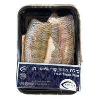 פילה אמנון טרי דגת הארץ במשקל