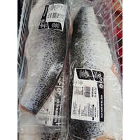 פילה סלמון צ'יליאני עם עור קפוא 100% דג בוואקום בלדי במשקל