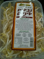 נבטים סיניים נבטי איילון יחידה