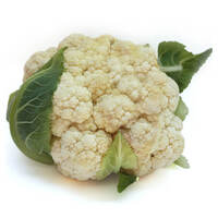 כרובית גלאט עלים רביבים עלי דשא במשקל