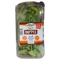 בזיליקום גלאט עלים יחידה