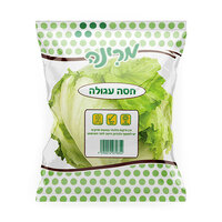 חסה עגולה מרינה יחידה