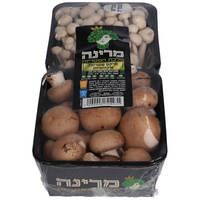 צמד פטריות אקזוטיות מרינה יחידה