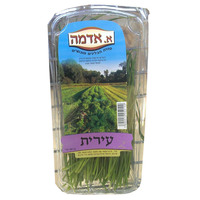 עירית א.אדמה יחידה