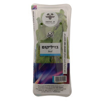 בזיליקום ארוז א.אדמה יחידה