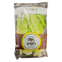 חסה רומית א.אדמה יחידה