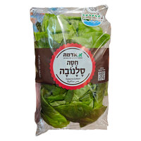 חסה סלנובה א.אדמה יחידה