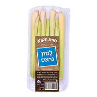 למון גראס חוות תקוע יחידה