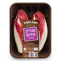 אנדיב אדום (עולש) מהדרין חוות פטריות תקוע יחידה