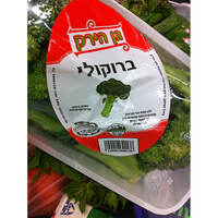 ברוקולי גן ירק כ-500 גרם יחידה