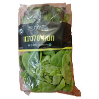 חסה סלנובה יגור חקלאות ועסקים 190 גרם