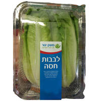 לבבות חסה יגור חקלאות יחידה