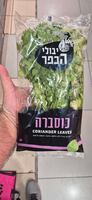 כוסברה טריה יבולי הכפר יחידה