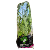 סלרי עלים ארוז מרינה יחידה