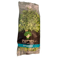 כוסברה טריה ארוזה מרינה יחידה