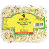נבטי אלפלפא מהדרין נבטי העמק יחידה