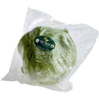 חסה אמריקאית אורגנית יבולי בר יחידה