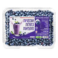 אוכמניות כחולות מוקפאות שר פיטנס רמי לוי 400 גרם