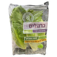 חסה גמביט קראנצ'ית כרמלים יחידה