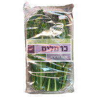 עלי קייל כרמלים יחידה