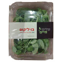 בזיליקום טרי בכמות כפולה ל.פלמינגו ישראל יחידה