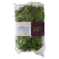 חסה לאליק הידרופונית עלים חיים יחידה