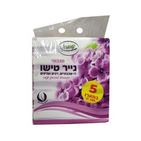מגבוני נייר טישו דו שכבתיים שווה 5 * 100 יחידות