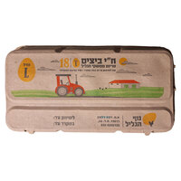 ביצים ארוזות רגילות גודל גדול נוף הגליל 18 יחידות