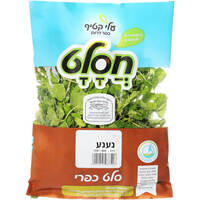 נענע מהדרין בכורי שדה דרום יחידה