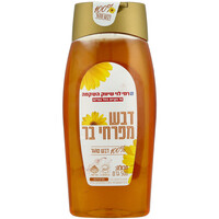 דבש טהור מפרחי בר בבקבוק לחיץ רמי לוי 500 גרם