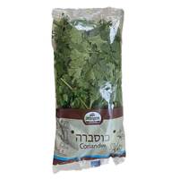 כוסברה בשקית בוסתן עשבי תיבול טריים יחידה