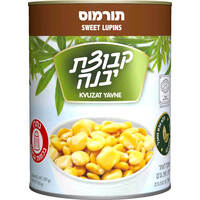 תורמוס קבוצת יבנה 560 גרם