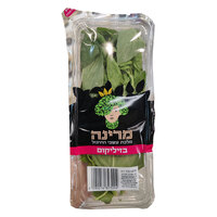 בזיליקום בקופסה מרינה יחידה
