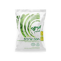 חסה ערבית מרינה יחידה
