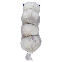 שום טרי מובחר יחידה