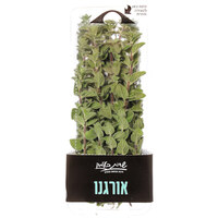 אורגנו רוני יצחק יחידה