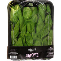 בזיליקום טרי שדות בעמק יחידה
