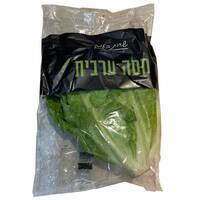 חסה ערבית שדות בעמק יחידה