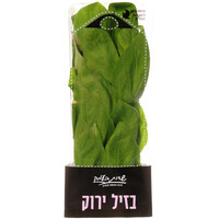 בזיליקום טרי שדות בעמק יחידה