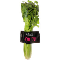 עלי סלרי שדות בעמק יחידה